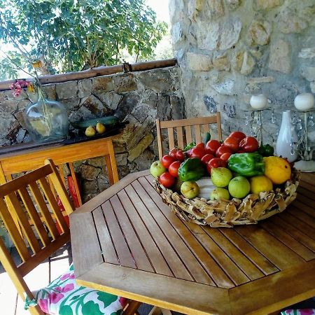 Casa Do Trapo Hotel Sardoal Екстериор снимка