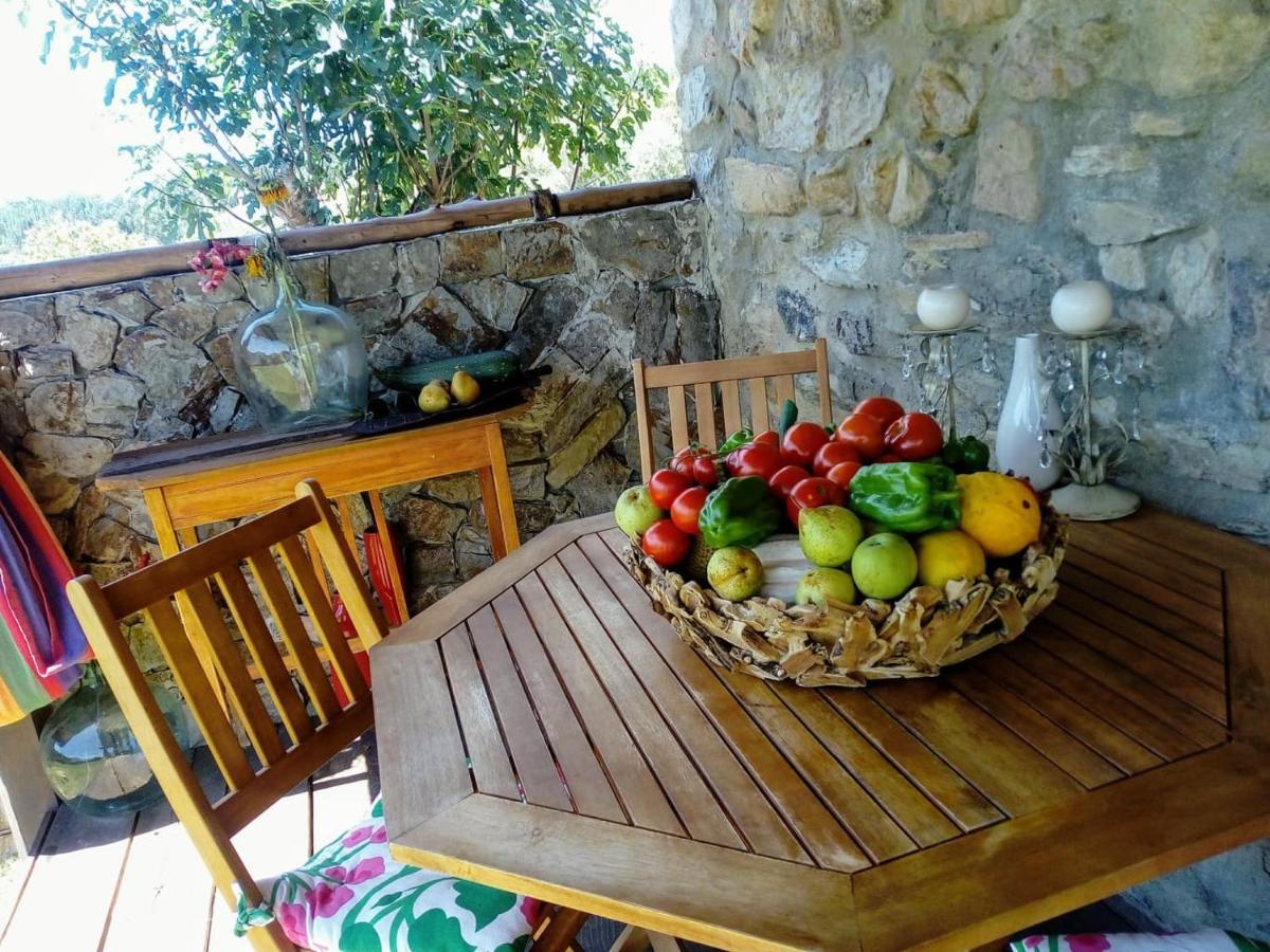 Casa Do Trapo Hotel Sardoal Екстериор снимка