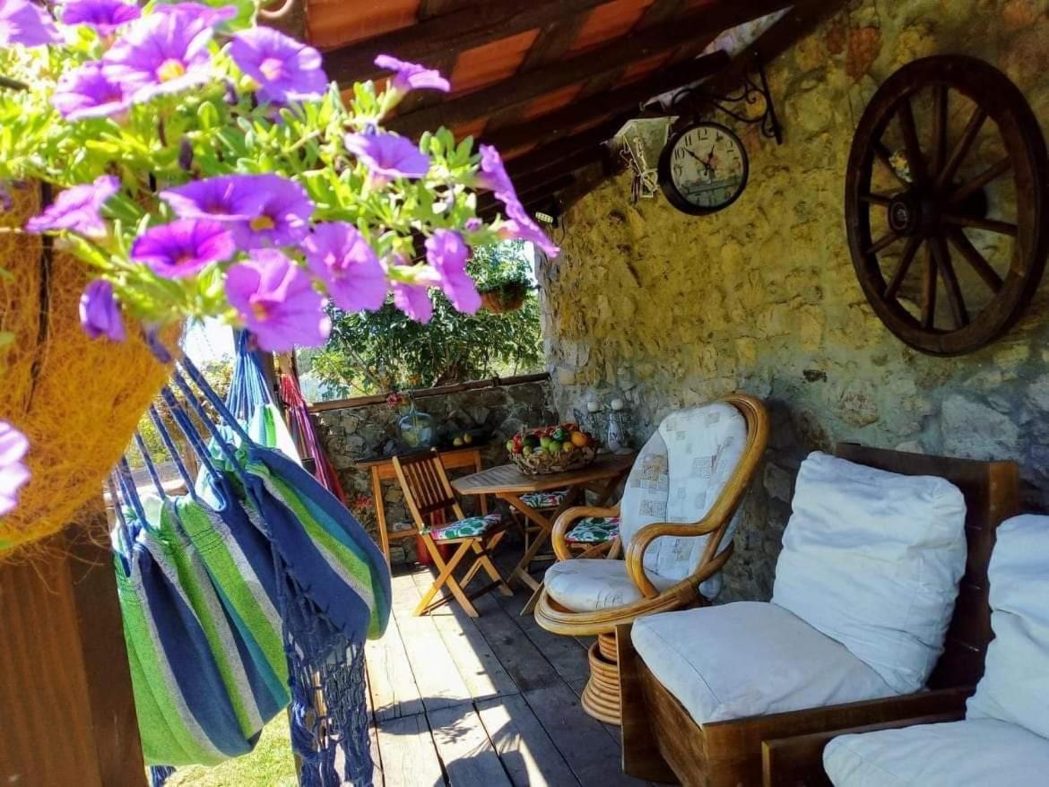 Casa Do Trapo Hotel Sardoal Екстериор снимка