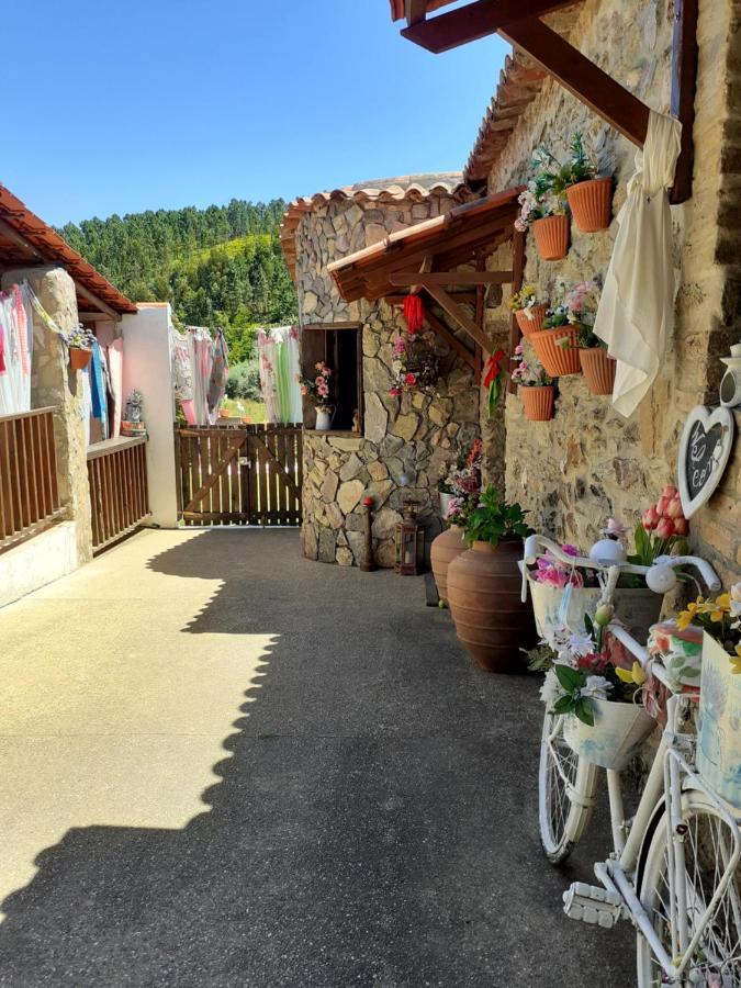 Casa Do Trapo Hotel Sardoal Екстериор снимка
